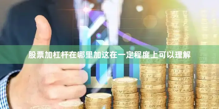 股票加杠杆在哪里加这在一定程度上可以理解